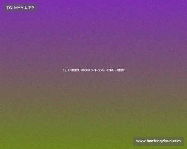 12.88万元！全新CB1000 SP Honda HORNET正式上市