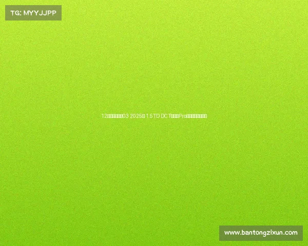 12万预算，领克03 2025款 1.5TD DCT冠军版Pro，我的得意之选！